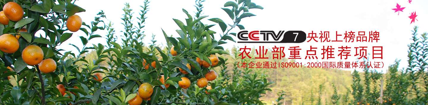 輪播圖1
