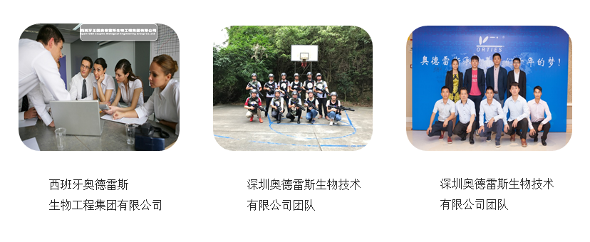 團(tuán)隊(duì)實(shí)力