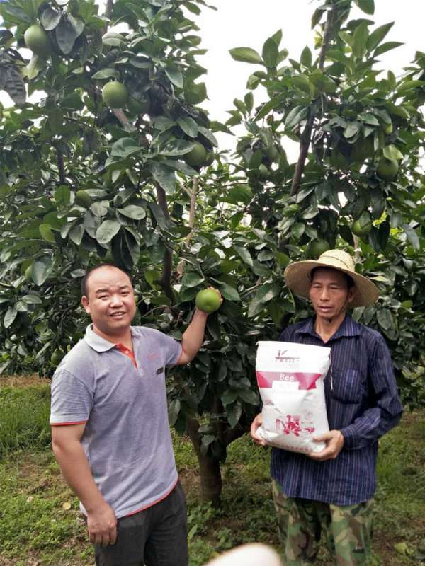 柚子用戶(hù)反饋